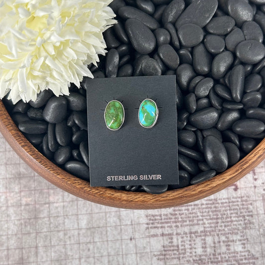 Navajo Sterling Sonoran Gold Turquoise Egg Shaped Earrings - Marcella James - Turquoise Sunset!