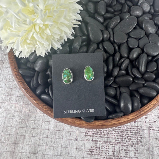 Navajo Sterling Sonoran Gold Turquoise Earrings - Marcella James - Turquoise Sunset!