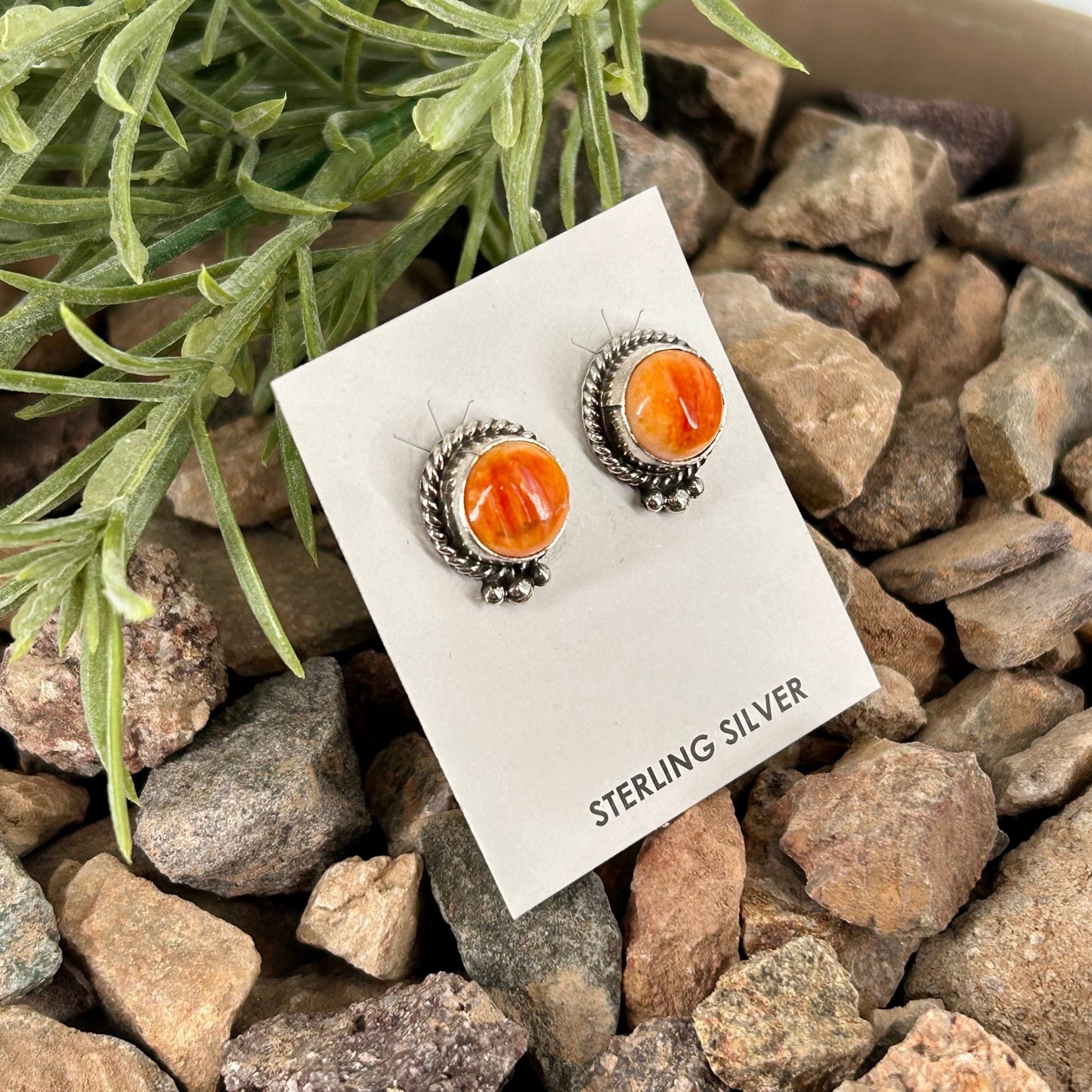 Navajo Sterling Spiny Braided Round Earrings - Theresa Smith - Turquoise Sunset!