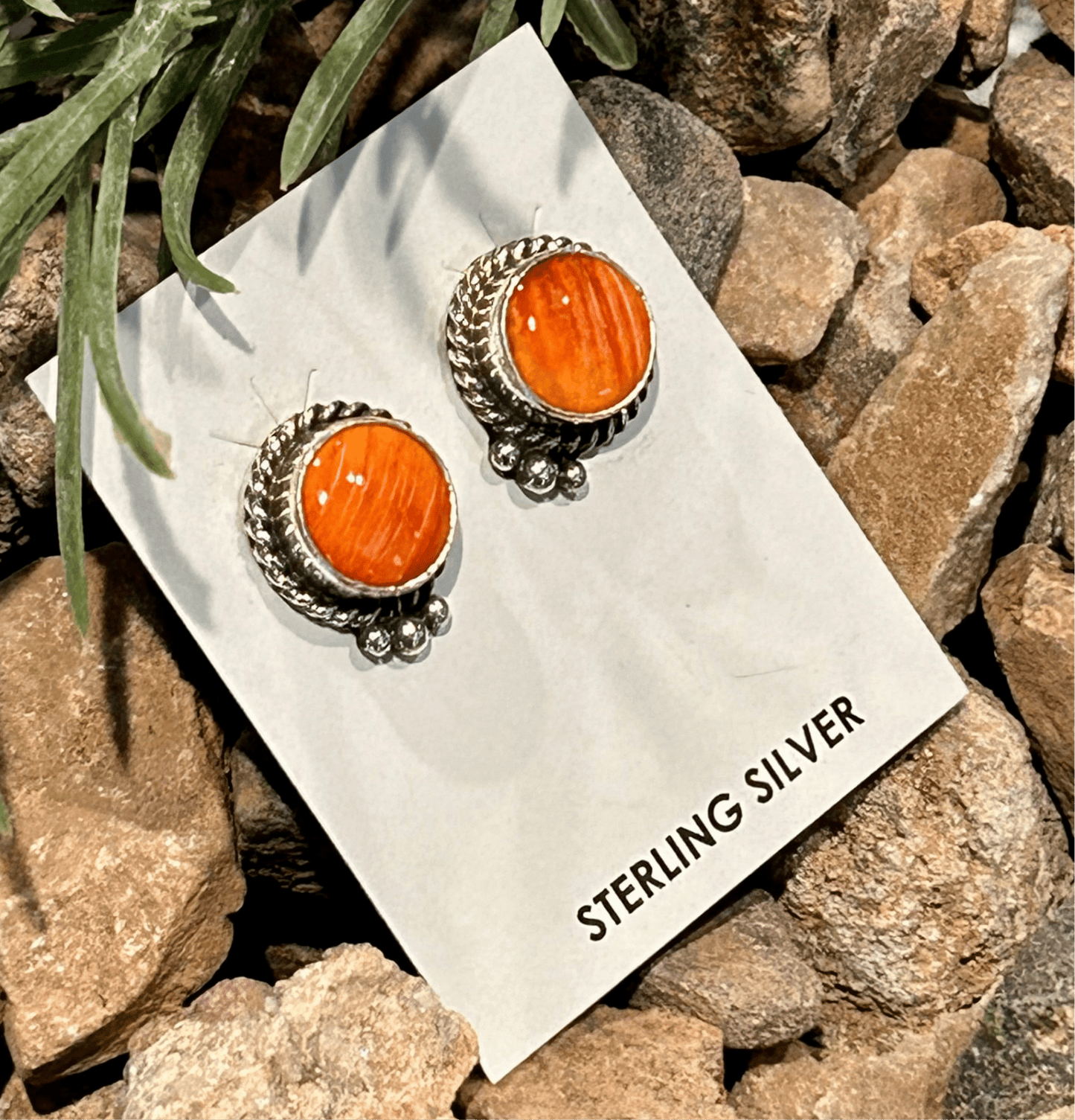 Navajo Sterling Spiny Braided Round Earrings - Theresa Smith - Turquoise Sunset!