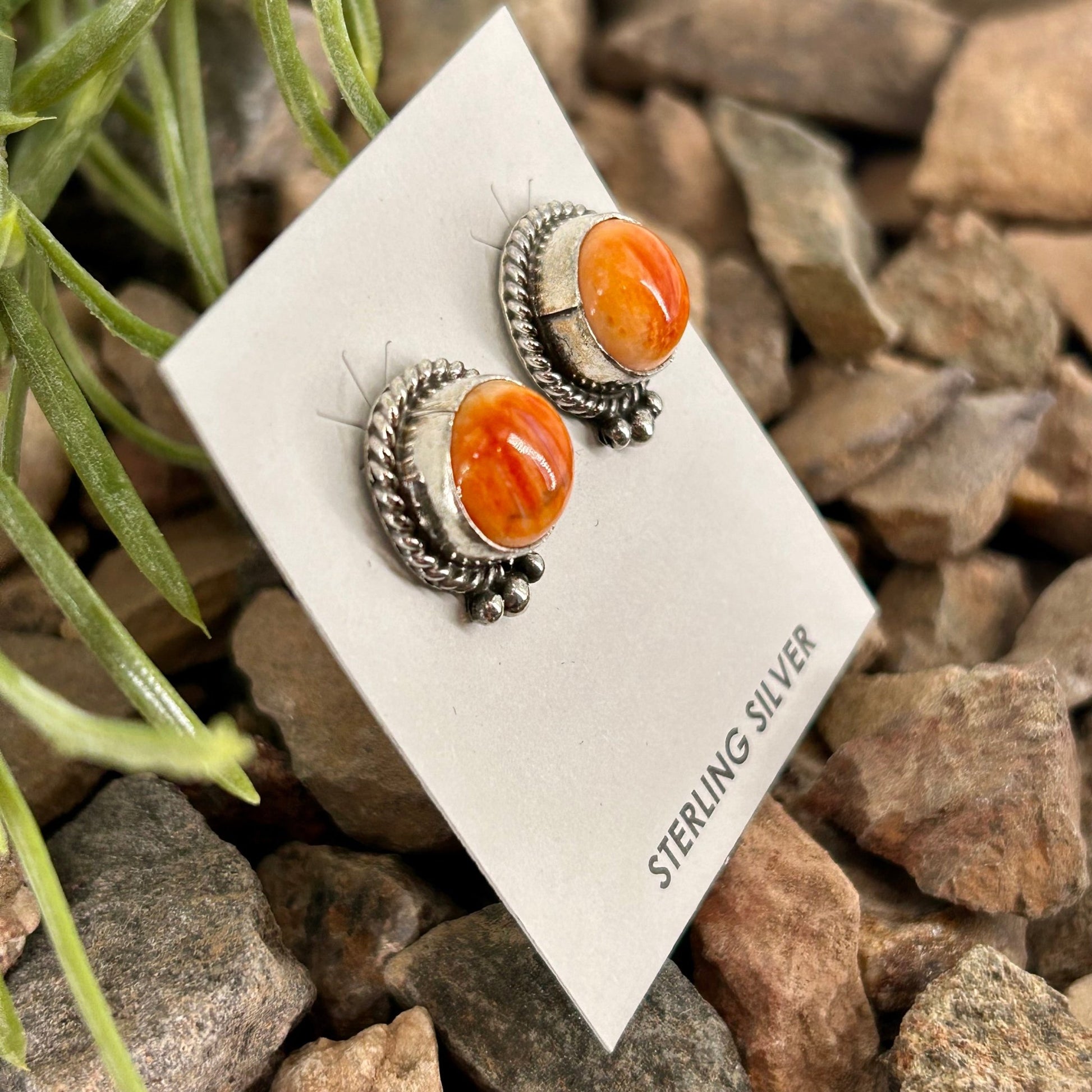 Navajo Sterling Spiny Braided Round Earrings - Theresa Smith - Turquoise Sunset!